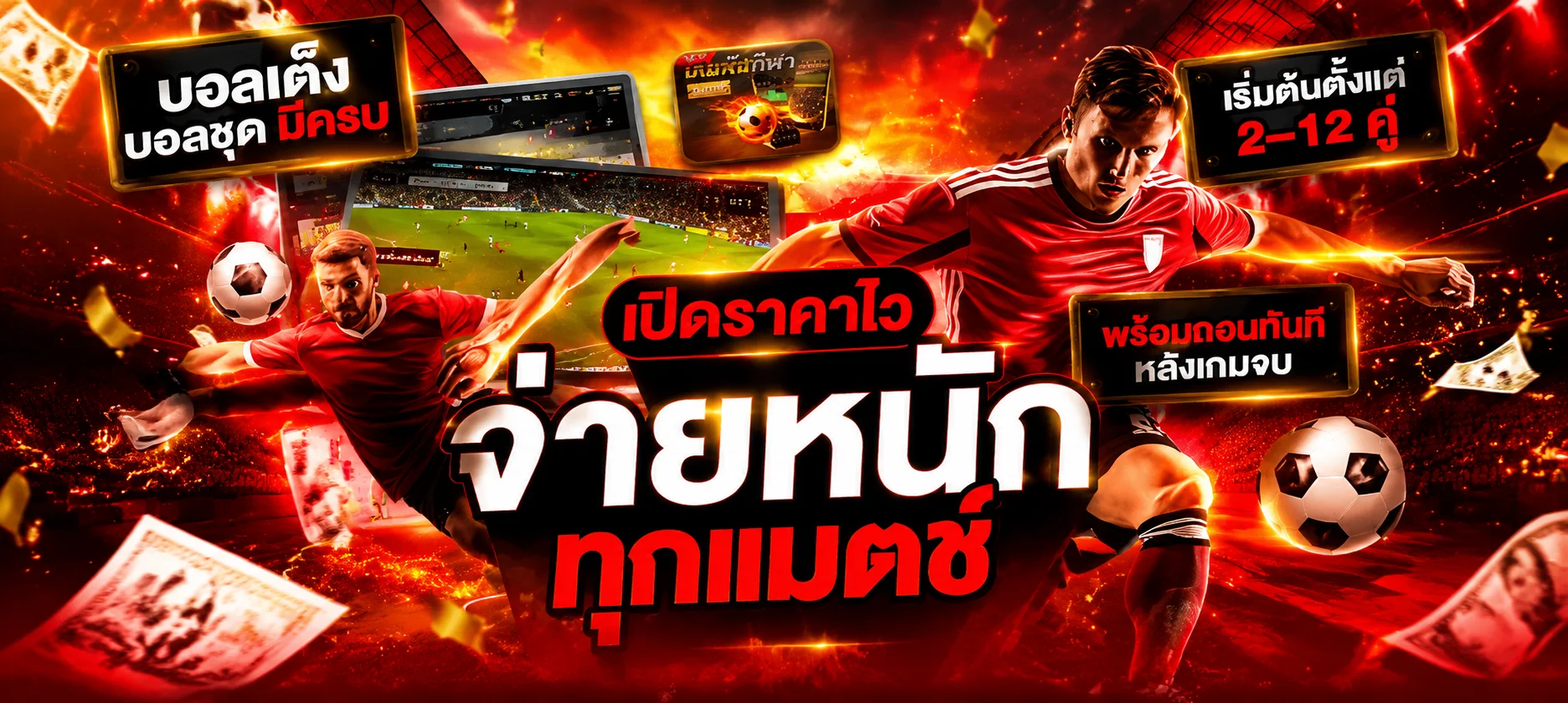 โปรโมชั่นแนะนำ omega55
